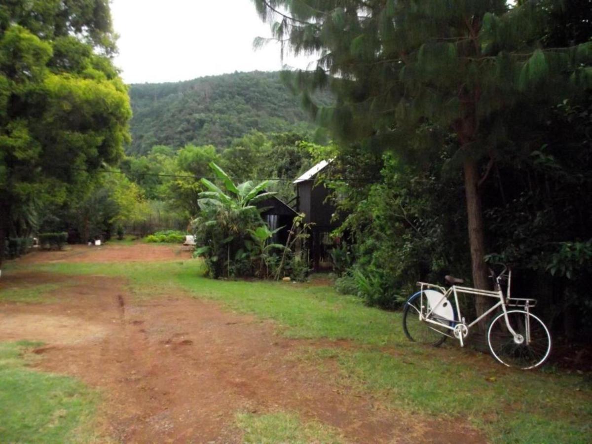 Sabie Gypsy'S Backpackers Pansiyon Dış mekan fotoğraf