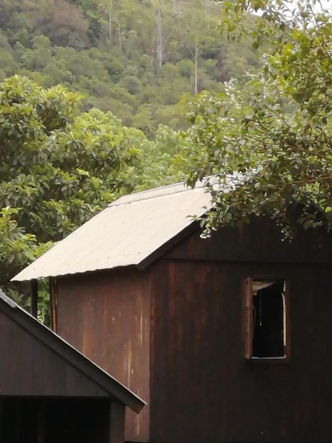 Sabie Gypsy'S Backpackers Pansiyon Dış mekan fotoğraf